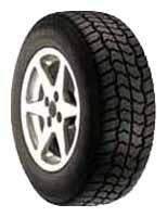 Dunlop Graspic HS1 tires