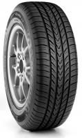 Michelin Pilot Exalto A/S tires