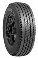 Nexen Roadian H/T tires